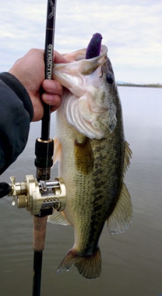 STCブログ写真 2014/05/19