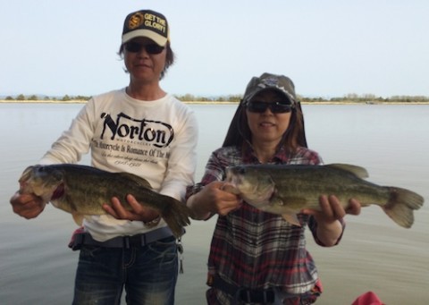 STCブログ写真 2014/05/20