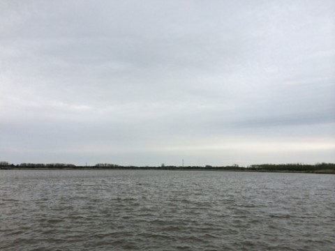 STCブログ写真 2014/05/24