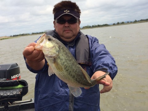 STCブログ写真 2014/05/24