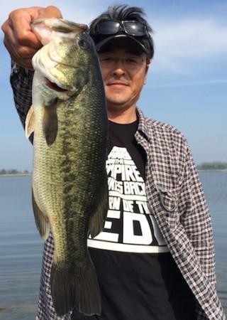 STCブログ写真 2014/06/03