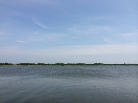 STCブログ写真 2014/06/18