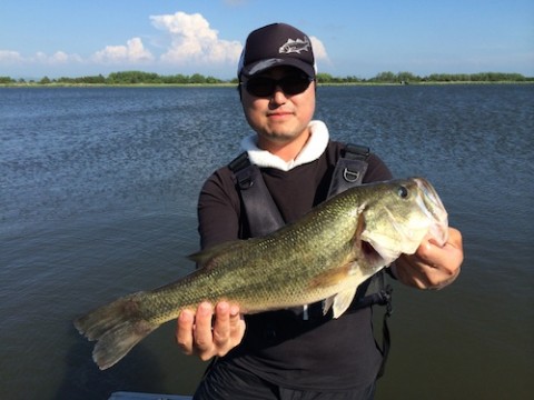 STCブログ写真 2014/06/23