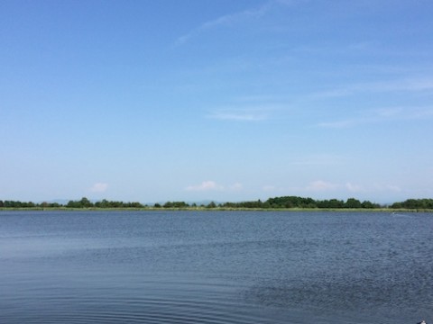 STCブログ写真 2014/07/06