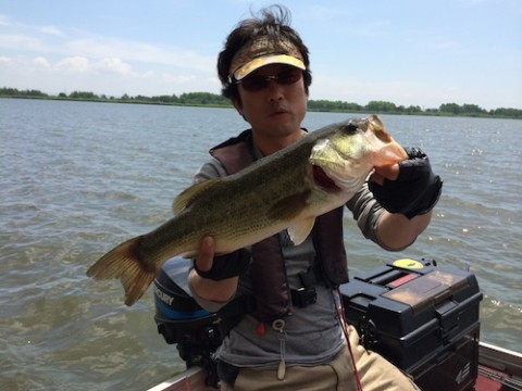 STCブログ写真 2014/07/08