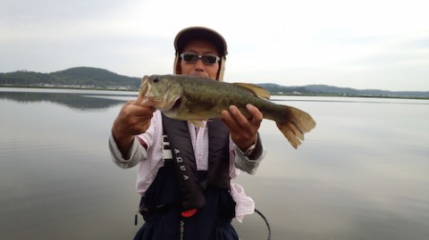 STCブログ写真 2014/07/08