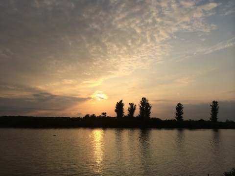 STCブログ写真 2014/07/17