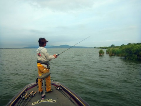 STCブログ写真 2014/07/19
