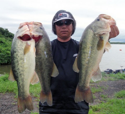 STCブログ写真 2014/08/19