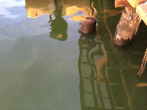 STCブログ写真 2014/09/02