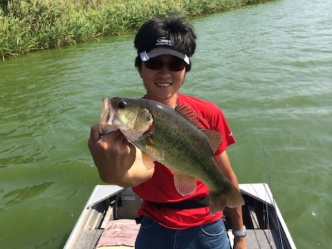 STCブログ写真 2014/09/09