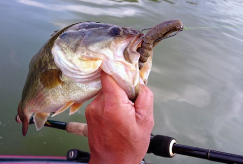 STCブログ写真 2014/09/09