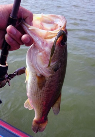 STCブログ写真 2014/09/09