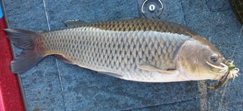 STCブログ写真 2014/09/09