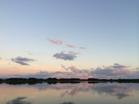 STCブログ写真 2014/09/11