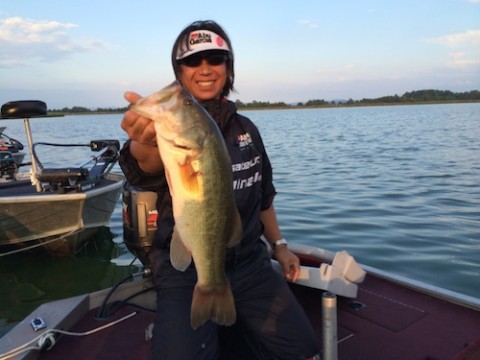 STCブログ写真 2014/09/11