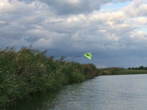 STCブログ写真 2014/09/19