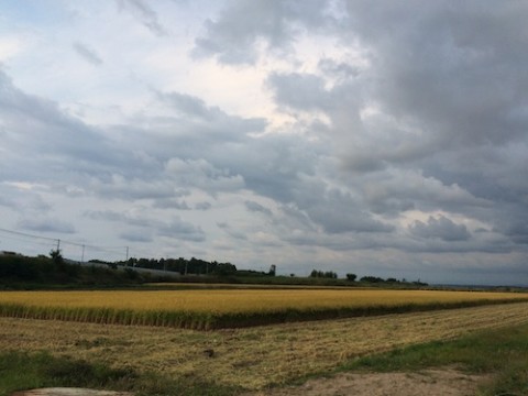 STCブログ写真 2014/09/23