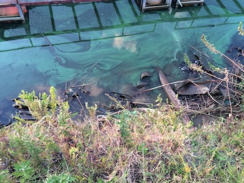 STCブログ写真 2014/09/23