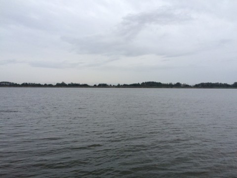 STCブログ写真 2014/10/06