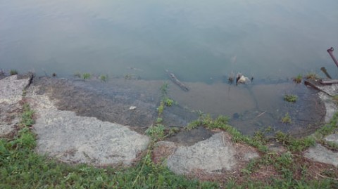 STCブログ写真 2015/05/02