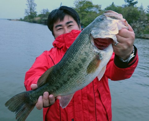 STCブログ写真 2015/05/04