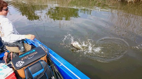 STCブログ写真 2015/05/09