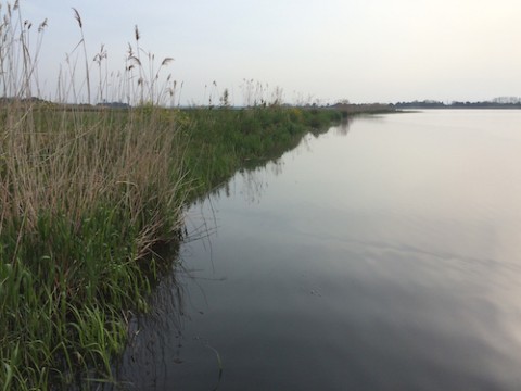 STCブログ写真 2015/05/09