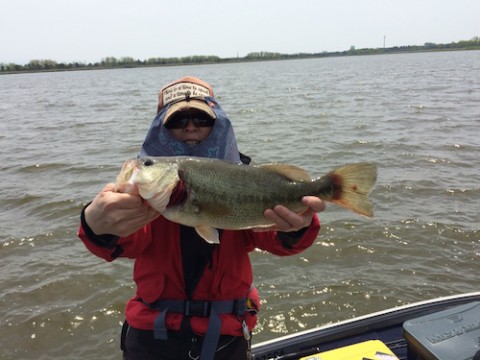 STCブログ写真 2015/05/18