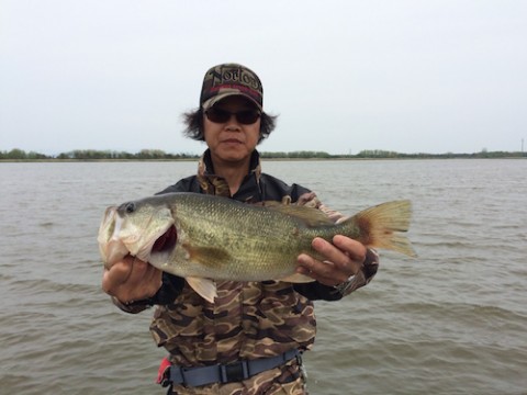 STCブログ写真 2015/05/18