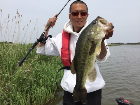 STCブログ写真 2015/05/18