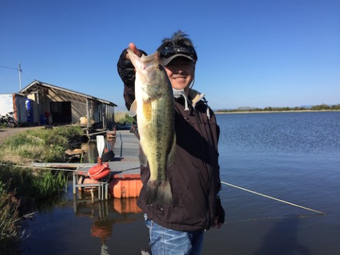 STCブログ写真 2015/05/18