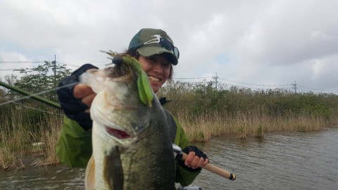 STCブログ写真 2015/05/20