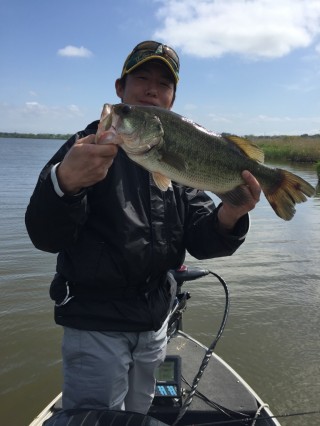 STCブログ写真 2015/06/03