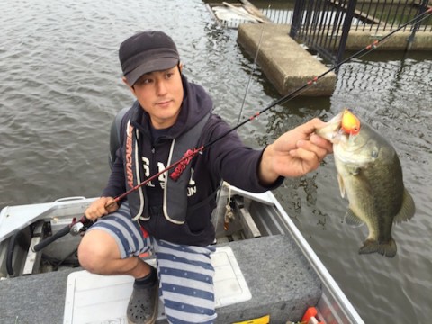 STCブログ写真 2015/07/02