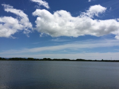 STCブログ写真 2015/07/07