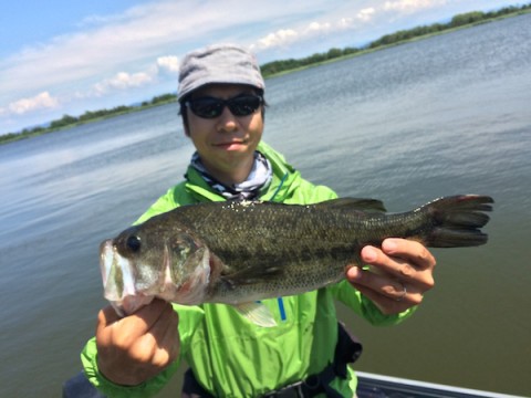 STCブログ写真 2015/07/07