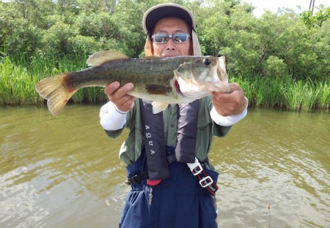 STCブログ写真 2015/07/10