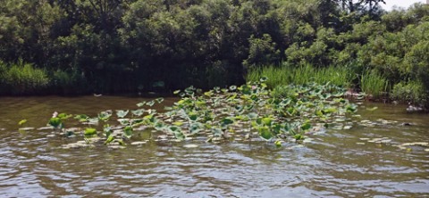 STCブログ写真 2015/07/31