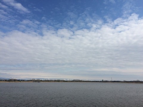 STCブログ写真 2016/05/01