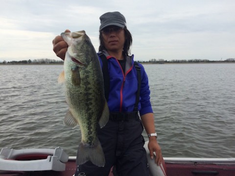 STCブログ写真 2016/05/11