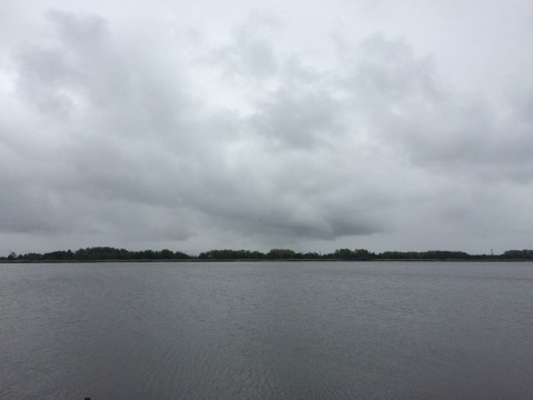 STCブログ写真 2016/06/01