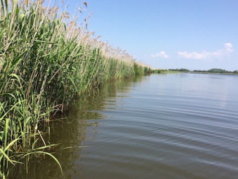 STCブログ写真 2016/06/07