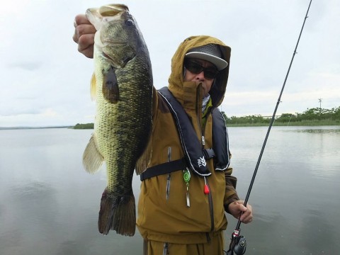 STCブログ写真 2016/06/07