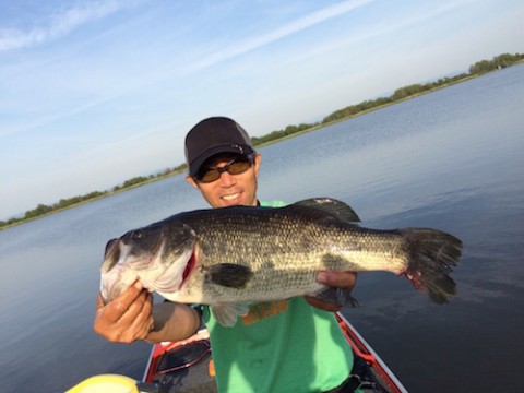 STCブログ写真 2016/06/14