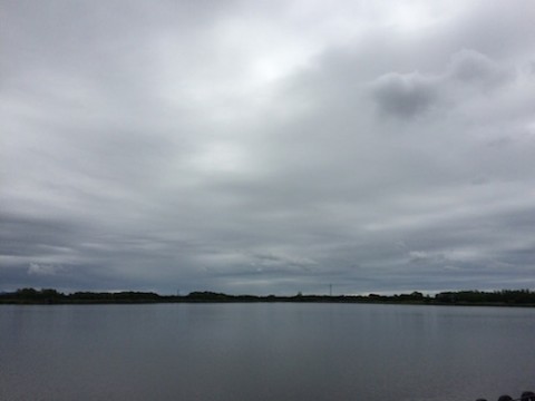 STCブログ写真 2016/06/14