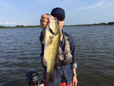 STCブログ写真 2016/07/03