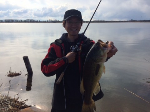 STCブログ写真 2017/05/06