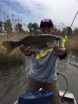 STCブログ写真 2017/05/06