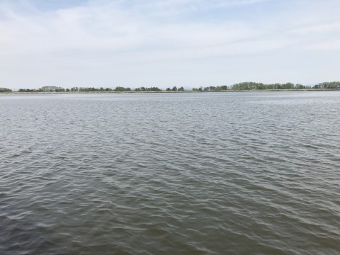 STCブログ写真 2017/05/23